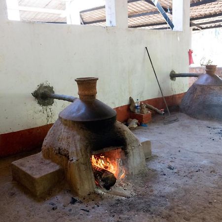 Mangaal Farmstay Goa Vichondrem Zewnętrze zdjęcie