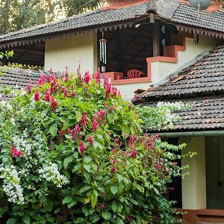 Mangaal Farmstay Goa Vichondrem Zewnętrze zdjęcie