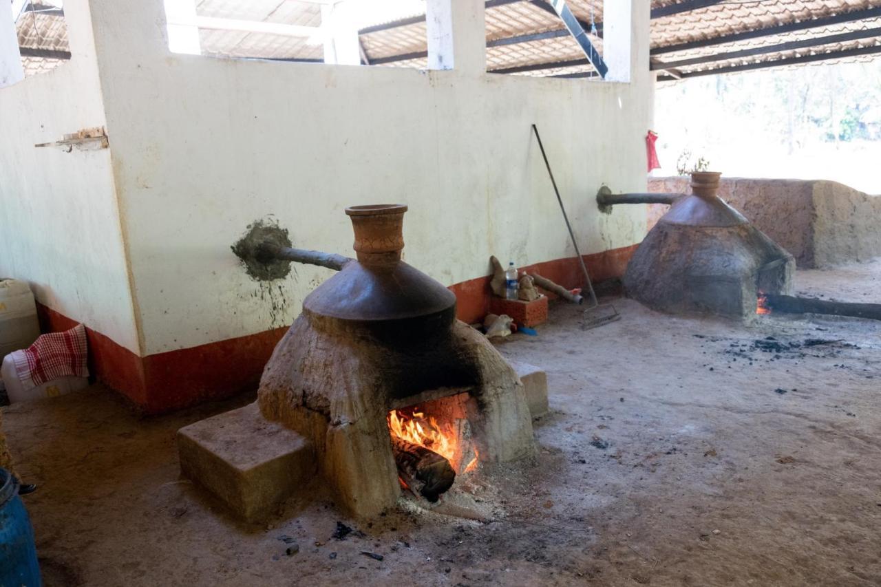 Mangaal Farmstay Goa Vichondrem Zewnętrze zdjęcie