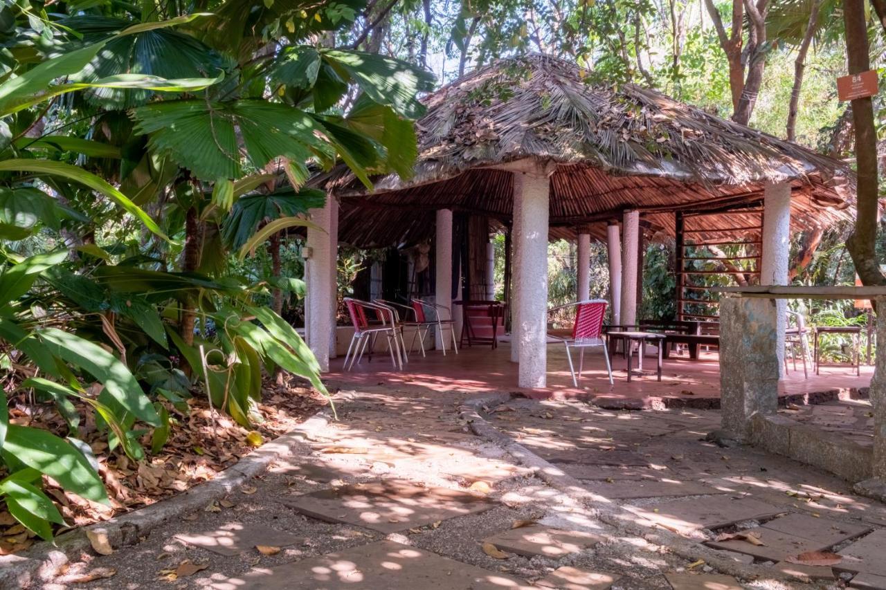 Mangaal Farmstay Goa Vichondrem Zewnętrze zdjęcie