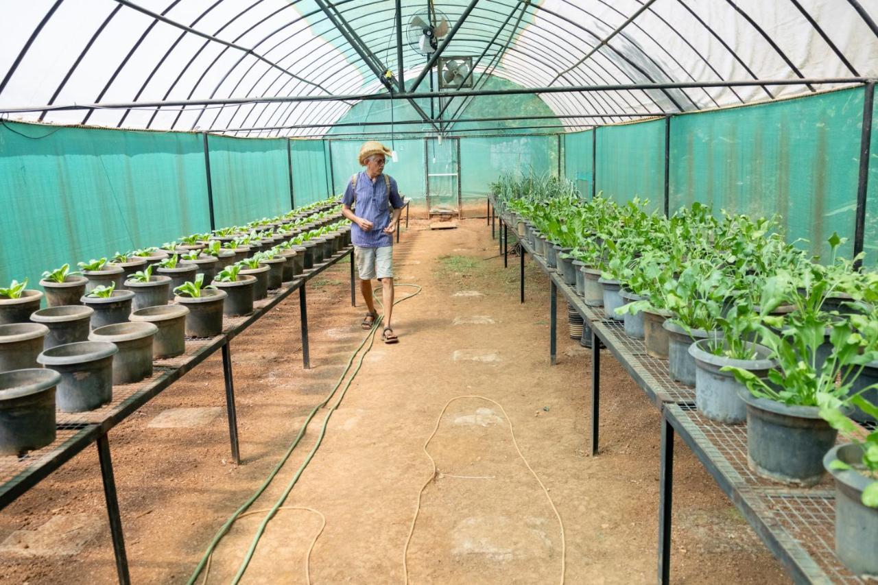 Mangaal Farmstay Goa Vichondrem Zewnętrze zdjęcie