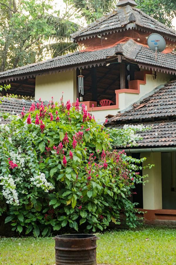 Mangaal Farmstay Goa Vichondrem Zewnętrze zdjęcie