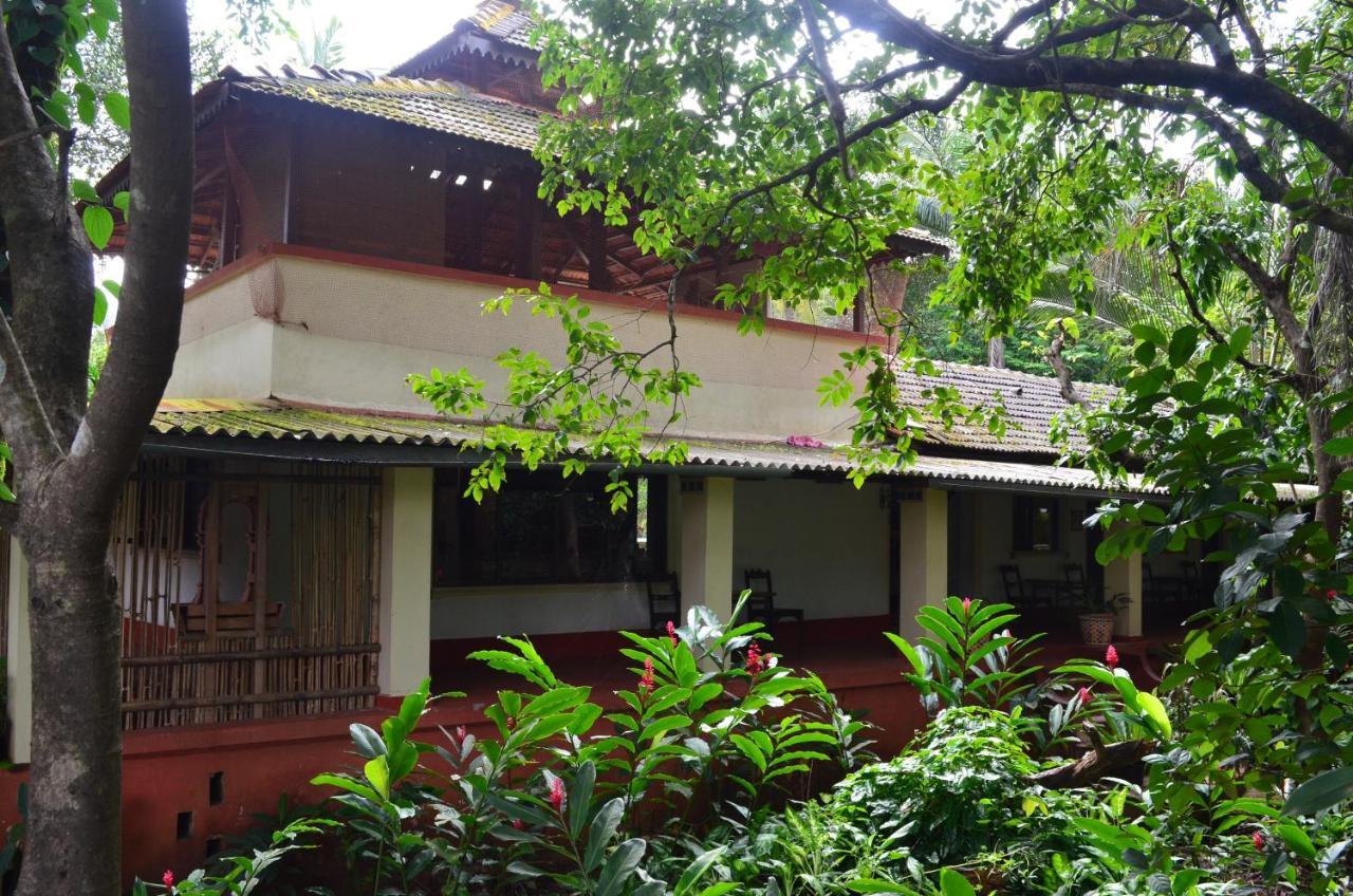 Mangaal Farmstay Goa Vichondrem Zewnętrze zdjęcie